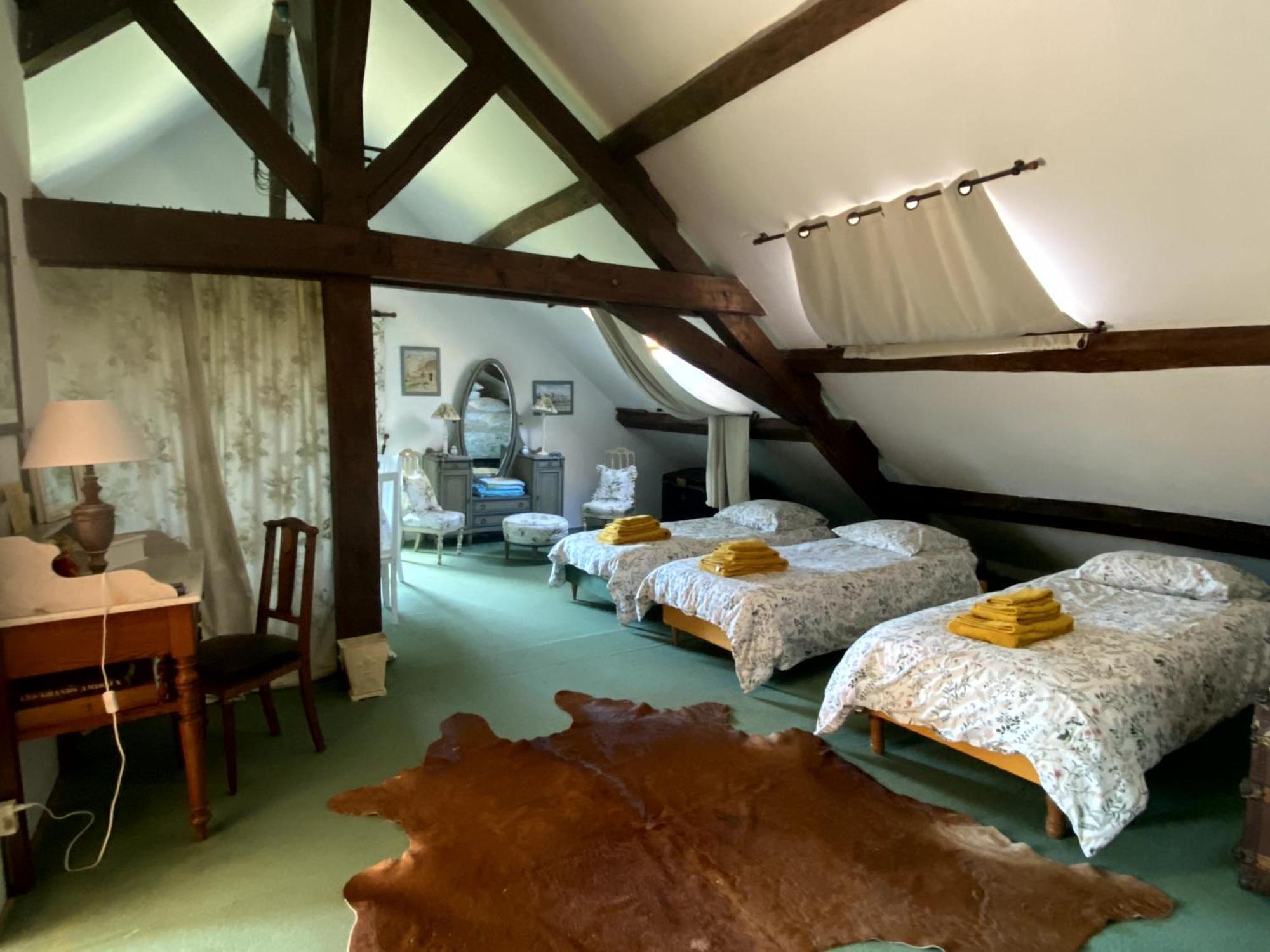 Chateau D'Ingrandes Ingrandes  Habitación foto